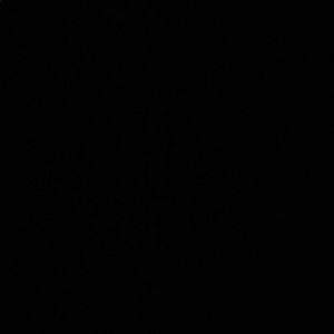 Meet your Posher, Elijah